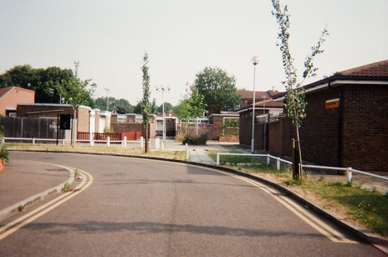 – Disposable Camera –