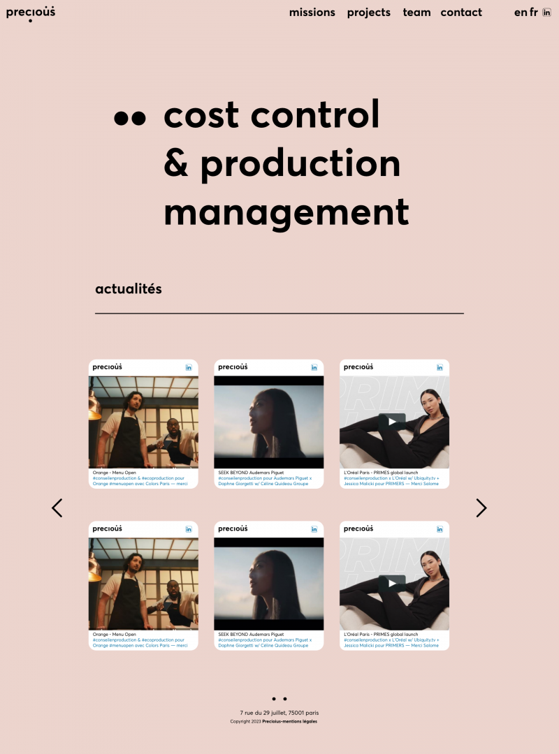 Precious Team : Identité et Site Web